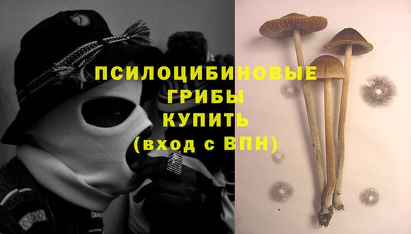 MESCALINE Алзамай