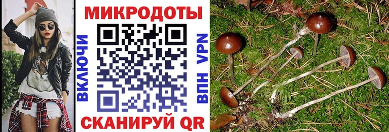 кракен ONION  где купить наркоту  Ак-Довурак  Псилоцибиновые грибы мицелий 